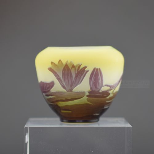 SMALL GALLE AQUATIC CAMEO GLASS VASE C1900