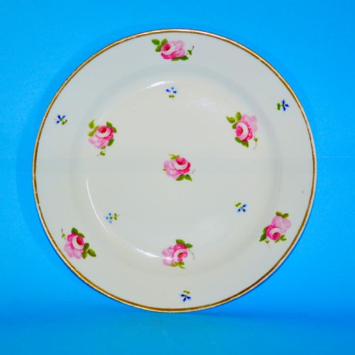 SWANSEA PORCELAIN PLATE POSSIBLY BY BILLINGSLEY EARLY 19C