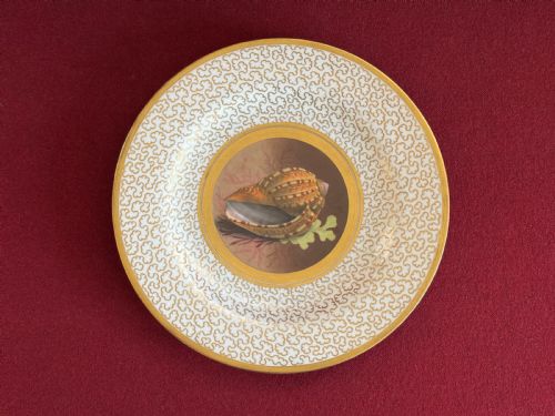 A BARR FLIGHT AND BARR WORCESTER PORCELAIN PLATE C1807 1813