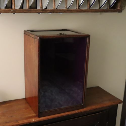 VICTORIAN MAHOGANY DISPLAY BOX